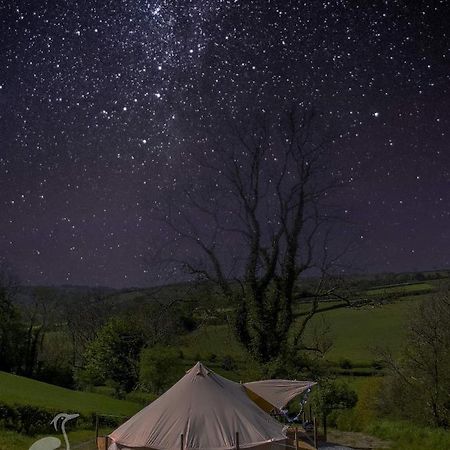 Hotel Herons Retreat Llandysul Zewnętrze zdjęcie